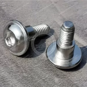 Hexagon Socket Button head screw with collar