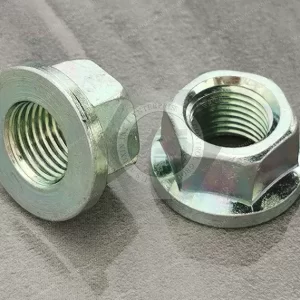 High Strength Hexagon Flange Nut